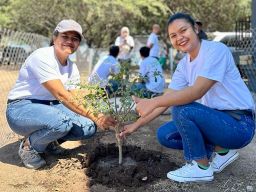 Jaga Kelestarian Lingkungan, PLN Dukung Gerakan Gotong Royong Boyong Pohon Bersama BUMN