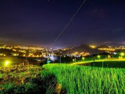 Raih Energy Globe Award 2023, Program _Electrifying Agriculture_ PLN Akan Wakili Indonesia