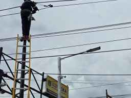 PLN Icon Lakukan Perapihan dan Pendataan kabel ilegal di Tiang PLN Kota Sidoarjo. 
