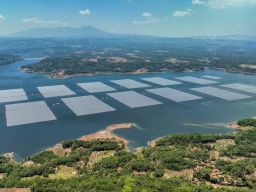 Jelang Tahun Baru, PLN Gandeng WWF Indonesia Jadi Perusahaan Pertama di Tanah Air Adopsi Kerangka Kerja TNFD