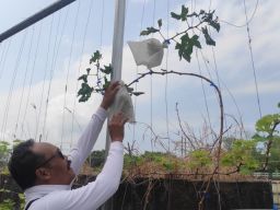 PLN UIP JBTB Jelang Nataru Dukung KPS Tukad Mati Lestari, Bali Dalam Kepedulian Lingkungan Sungai