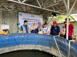 YBM PLN UIP JBTB Dorong Kemandirian Pakan Lele, KUC Faster Bangkit Lagi