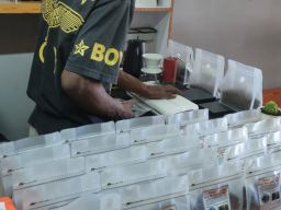 Moment Hari Buruh, PLN Peduli Bantu Kopi Tiom Papua Tembus Pasar Nasional dan Tingkatkan Penghasilan Petani