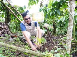 Mitigasi Longsor dan Dorong Ekonomi Warga, PLN UIP JBTB Salurkan Bantuan Konservasi 4.000 Pohon Aren