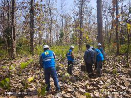 Sambut HUT ke-81 RI, PLN UIP JBTB Perkuat Sinergi Bahas Kajian SUTET 500 kV Bersama Taman Nasional Baluran