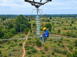 Semangat Hari Sumpah Pemuda, HLN ke-81: PLN Perkuat Peran Listrik sebagai Penggerak Kehidupan dan Kemandirian Bangsangsa