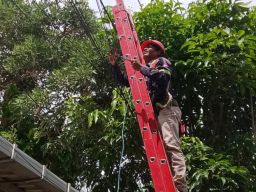 PLN Icon Plus dan Pemkot Surabaya Kolaborasi Tertibkan Kabel Ilegal untuk Tingkatkan Estetika dan Keandalan Jaringan