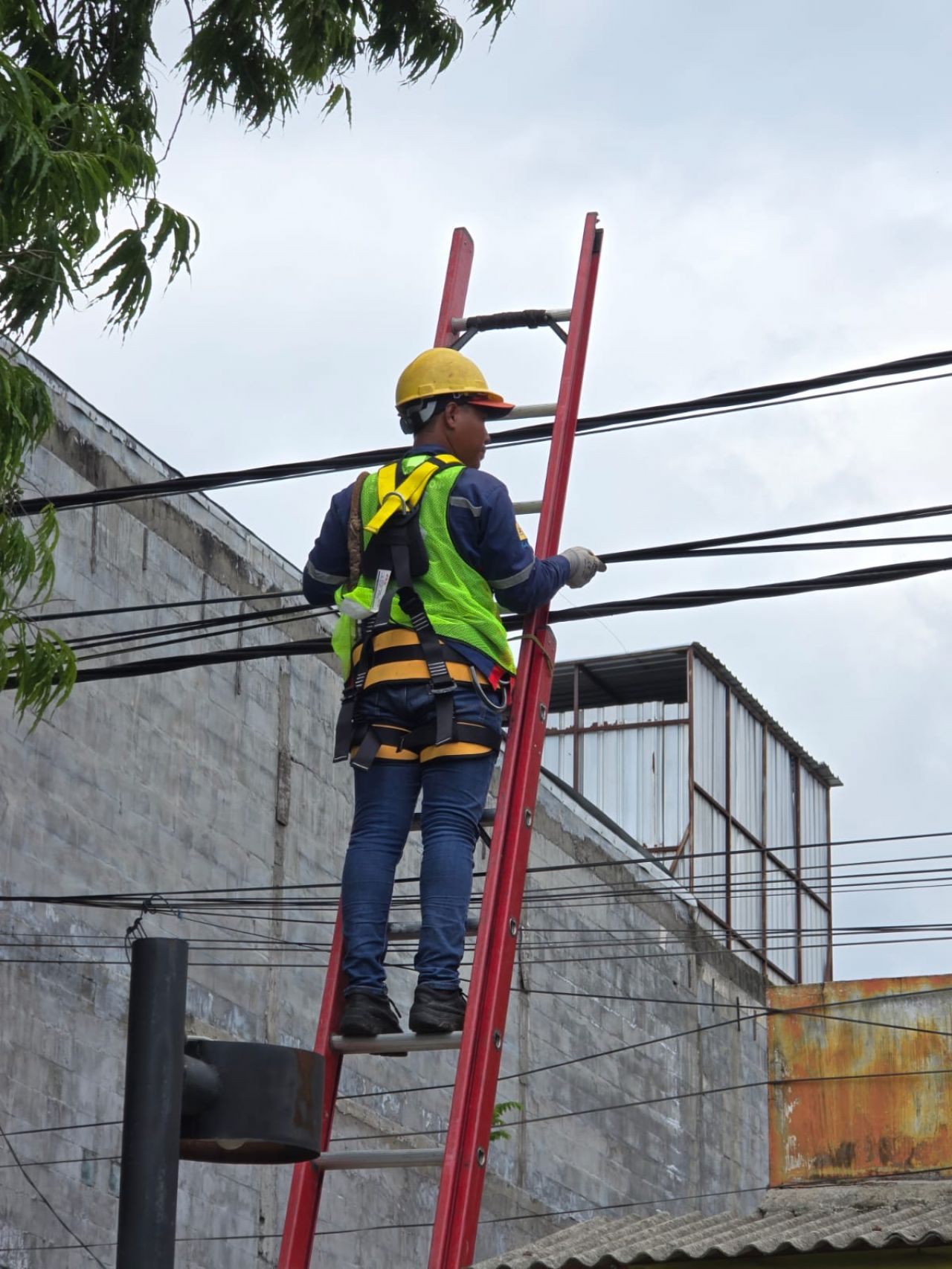 PLN Icon Plus Tertibkan Kabel Ilegal, Berkomitmen Demi Keandalan Jaringan di Kediri