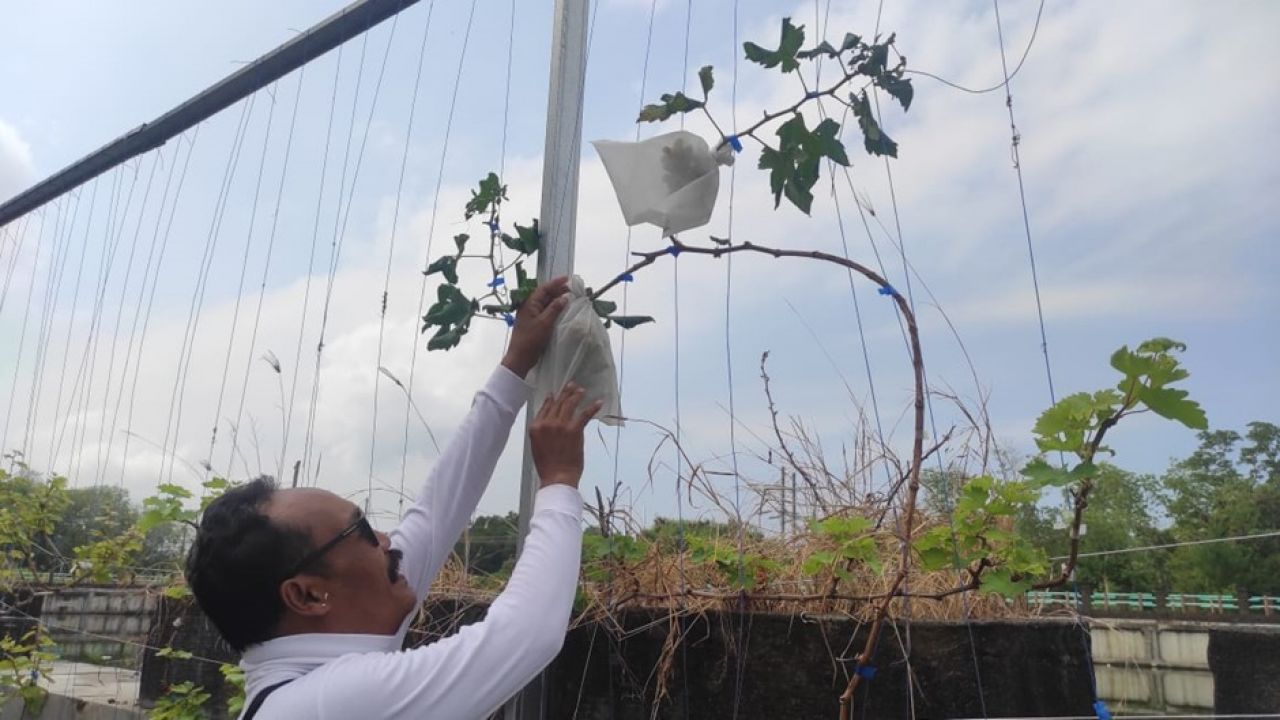 PLN UIP JBTB Jelang Nataru Dukung KPS Tukad Mati Lestari, Bali Dalam Kepedulian Lingkungan Sungai