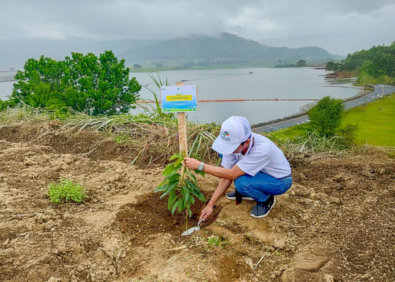 PLN Icon Plus & PLN Grup Jatim Tanam 10.000 Bibit Pohon di Selorejo Peringati Hari Menanam di 2025