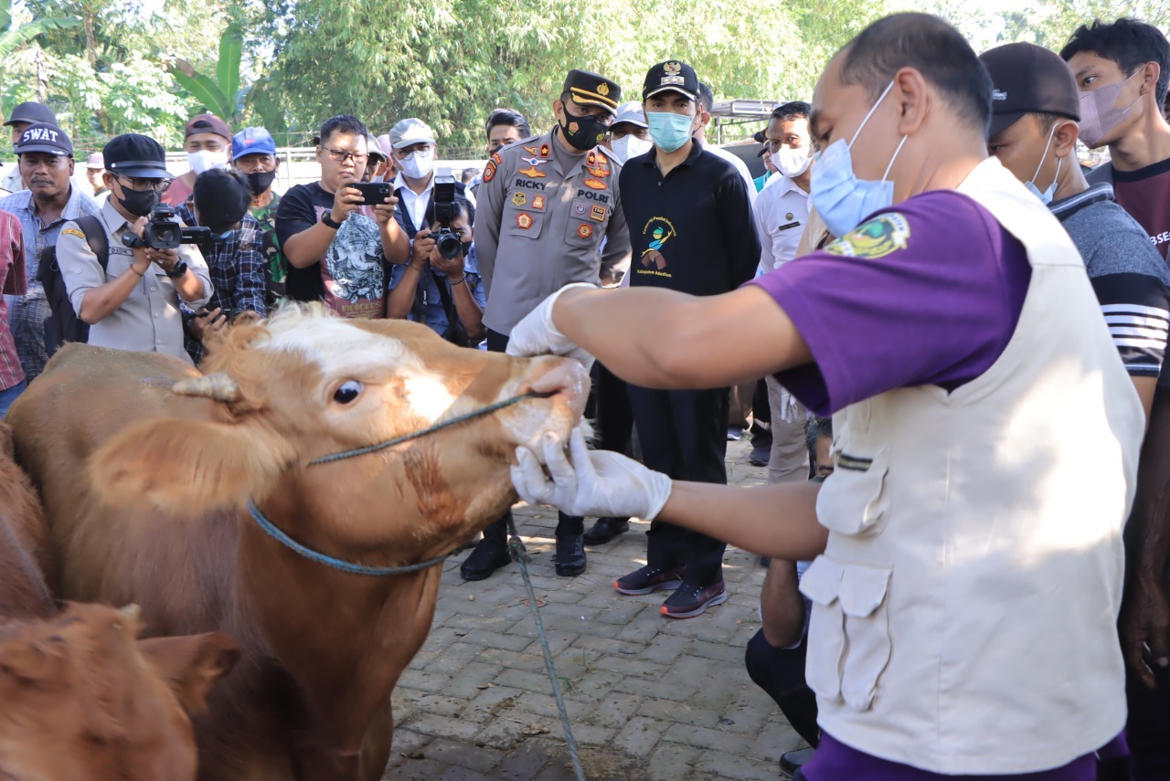 Jelang Hari Raya Idul Adha, Polres Madiun Lakukan Pengawasan Hewan Ternak