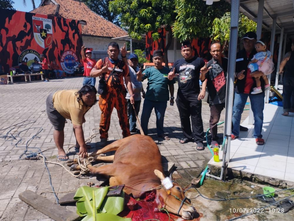 Koti PP Surabaya Gelar Penyembelihan Hewan Qurban 
