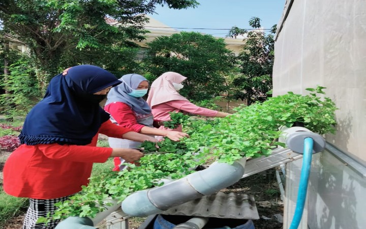Produktivitas Pertanian Melesat Berkat Layanan Listrik Hebat