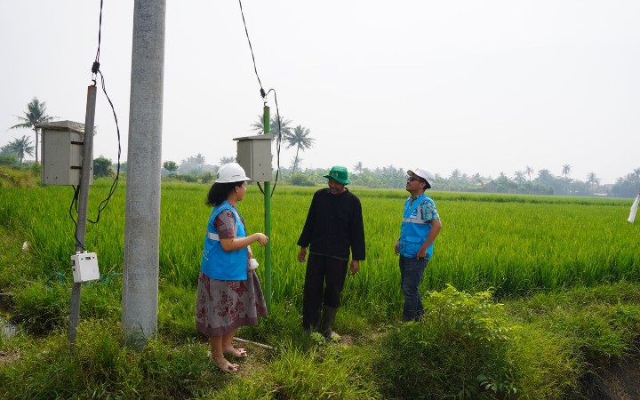 Berkat Program Electrifying Agriculture PLN, Keuntungan Petani Naik 200 Persen